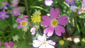2014051109250003.jpg