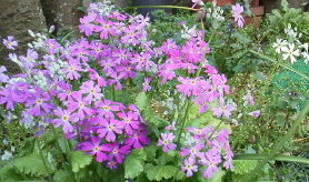 2015032414260000.jpg