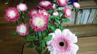 2015091314050000.jpg