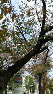 2017111311400000.jpg