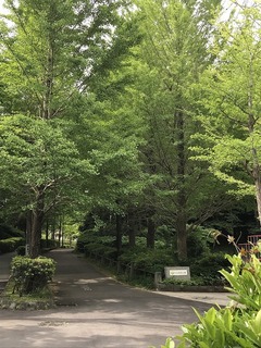 20180501_233732422_iOS.jpg