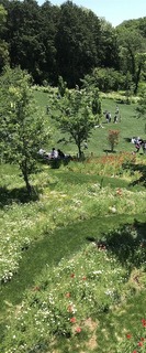 20180504_021934650_iOS.jpg