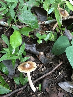 20180811_233158039_iOS.jpg