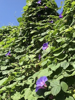 20181021_043056292_iOS.jpg
