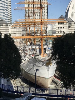 20190109_042622973_iOS.jpg