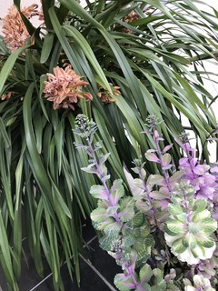 20190329_002716991_iOS.jpg