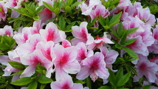 2019042821250000.jpg