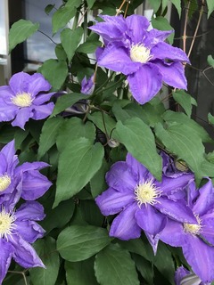20190505_220201207_iOS.jpg