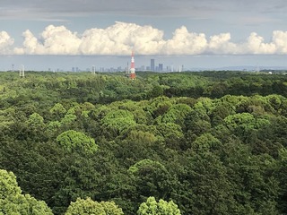 20190506_065327582_iOS.jpg