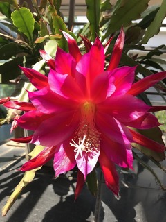 20190527_021326910_iOS.jpg