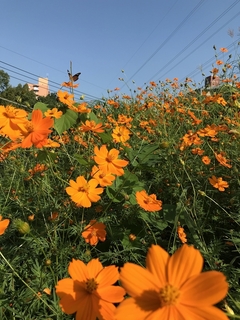 20191001_233421608_iOS.jpg