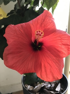 20191220_002452880_iOS.jpg