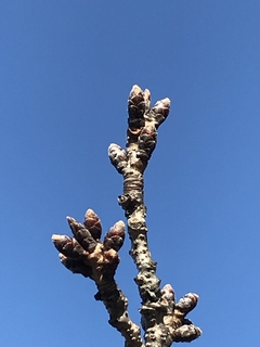 20200119_013105497_iOS.jpg