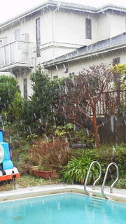 2020031414雪.jpg