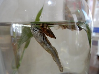 DSCN6692.JPG